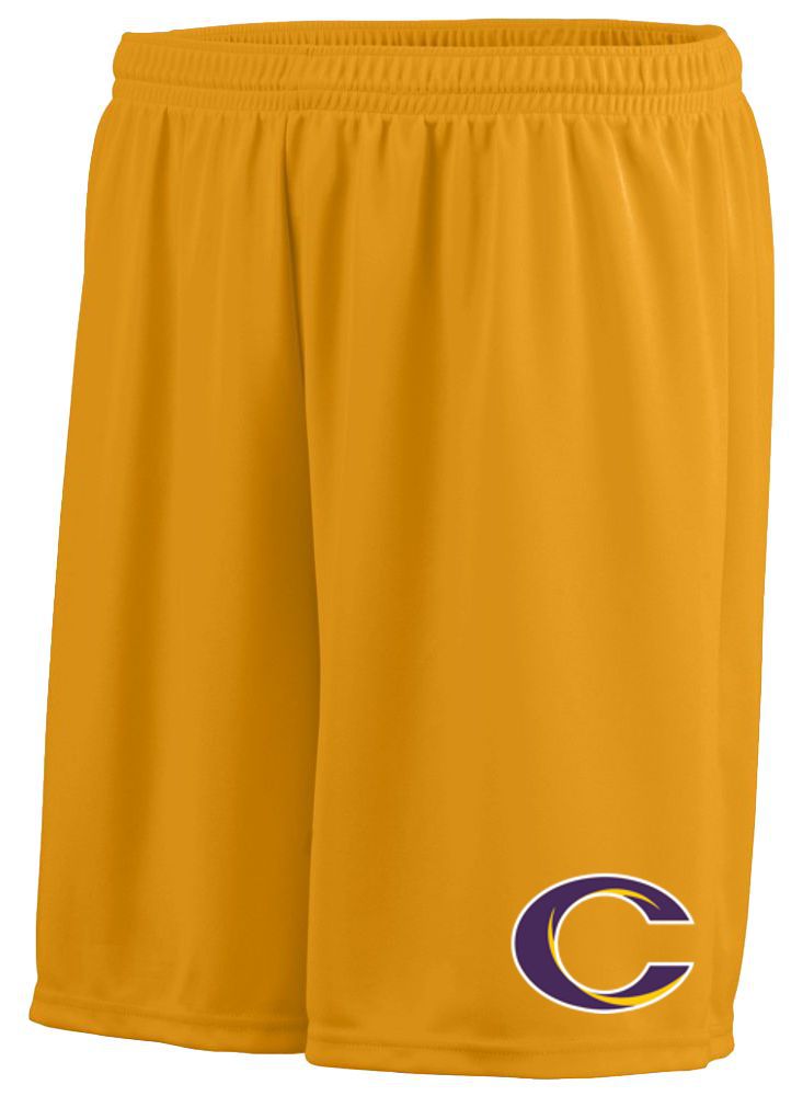 Caro Tigers Octane Shorts - Schall