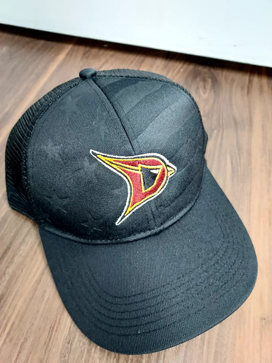 Davison Cardinals Debossed Flag Snapback Hat