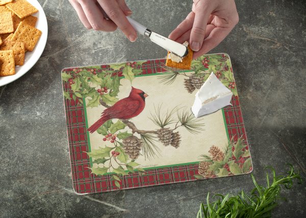 Cardinal Glass Counter Saver 10″ x 8″