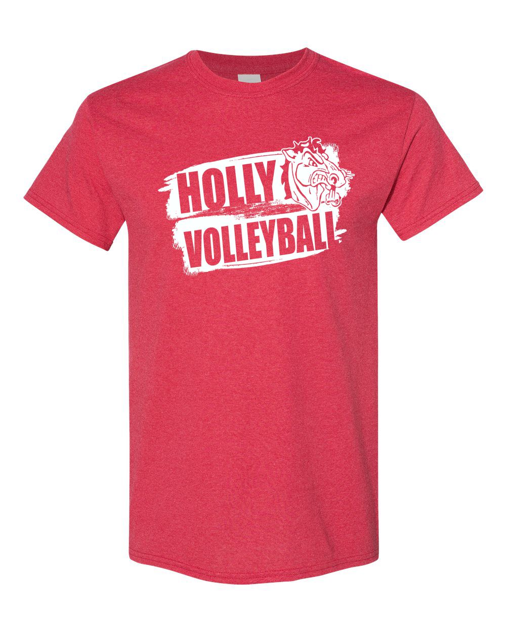 Holly Volleyball