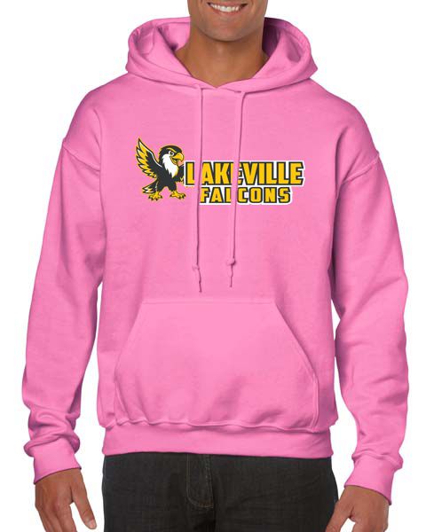 Lakeville Cartoon Falcons Basic Hooded Sweatshirt