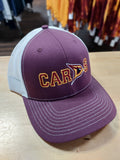 Davison Cards Snap Back Hat