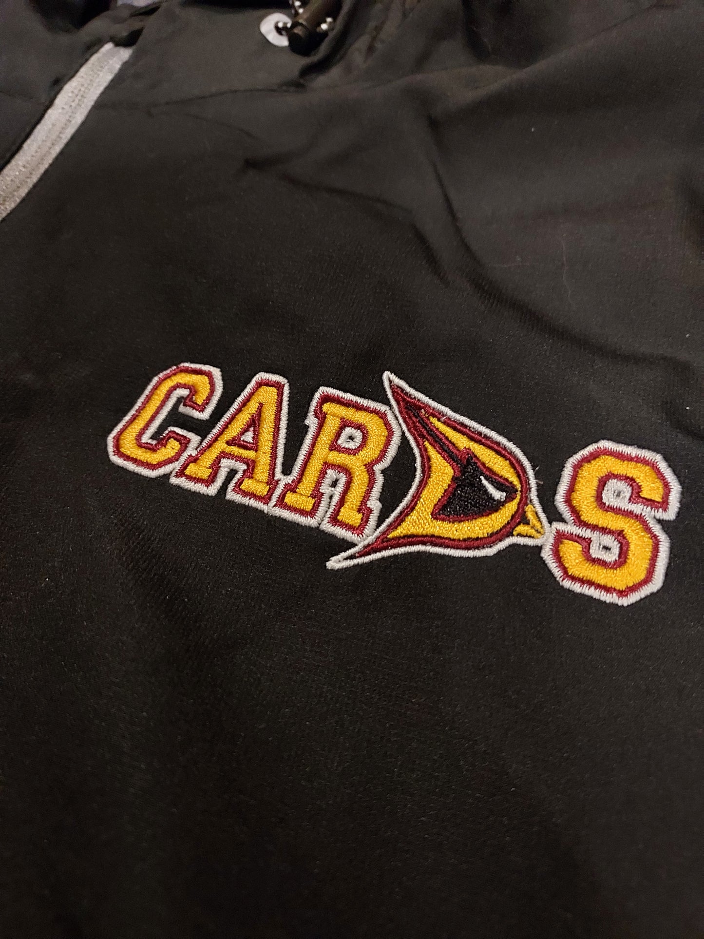 CARDS Potential 1/4 Zip Pullover