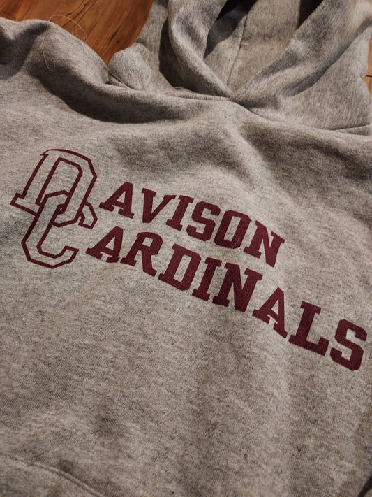 DC Cardinals Youth Hoodie