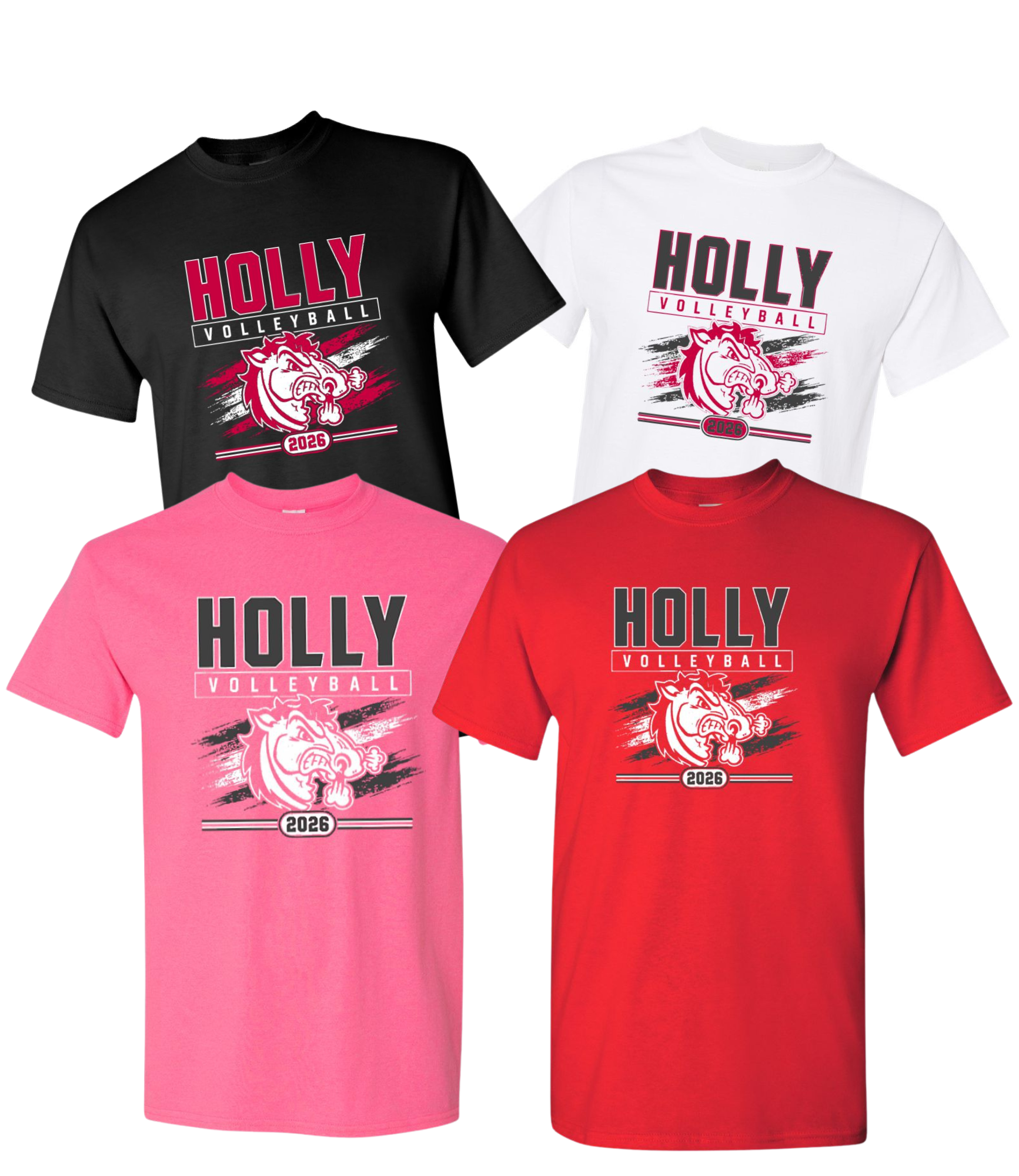 Holly Volleyball Player Pack Shirts