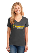 Lakeville Cartoon Falcons Ladies V-Neck T-shirt