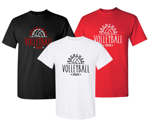 *REQUIRED* Holly Volleyball Player Pack Shirts