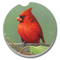 Cardinal Car Coaster