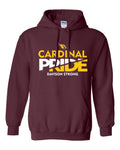 Davison Pride Basic Hoodie
