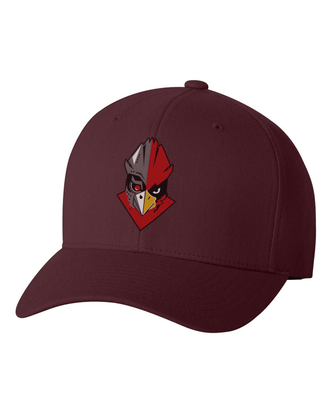 Davison Robotics Buckle-back Hat