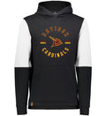 Davison Circle Logo Ivy League Hood