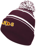 Davison 2 Color Stripe Beanie