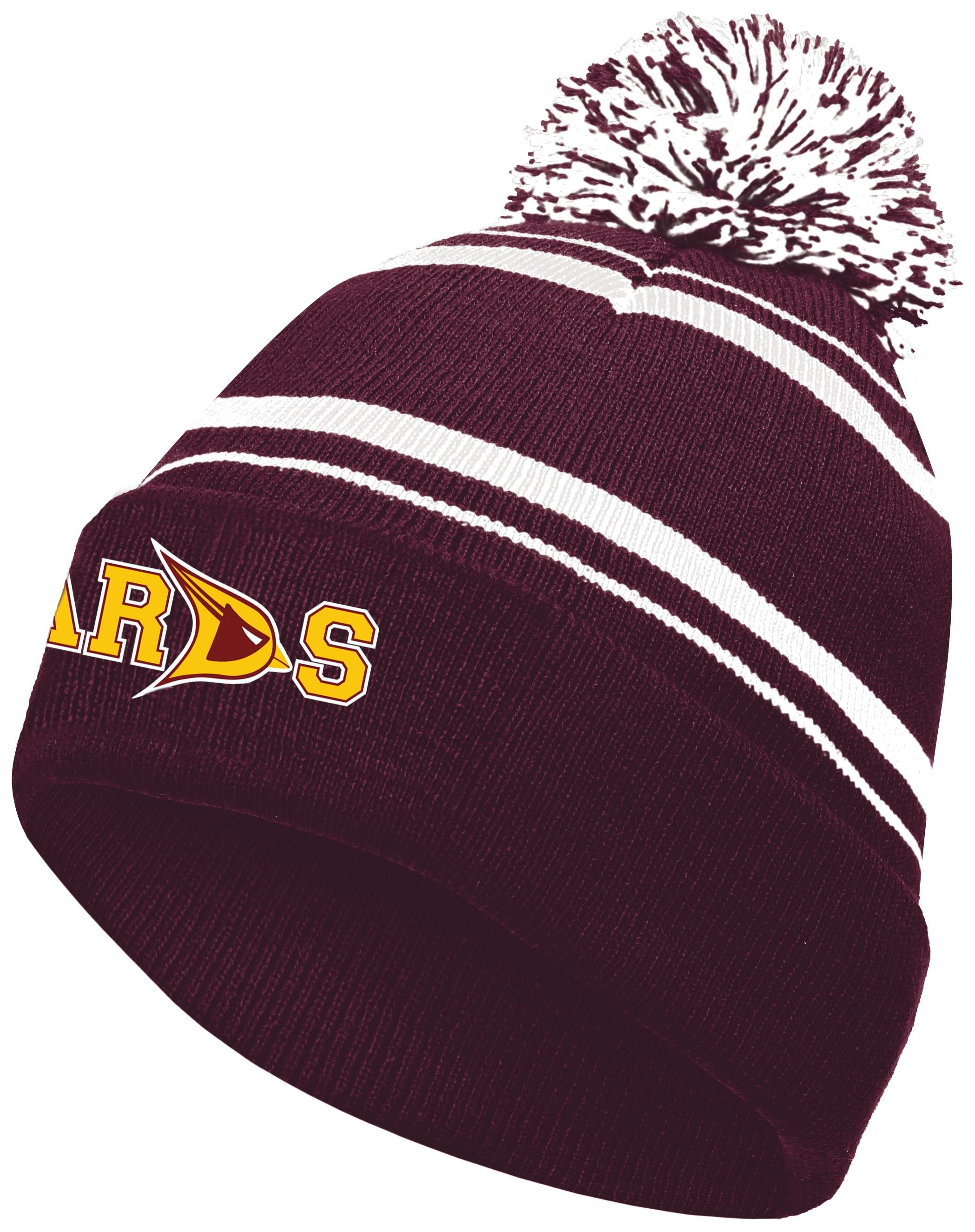 Davison 2 Color Stripe Beanie