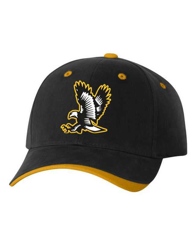 Lakeville Falcons Dominator Cap